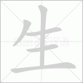 生鼠兔的射手座女生适合吗，生鼠兔的射手座女生适合吗
